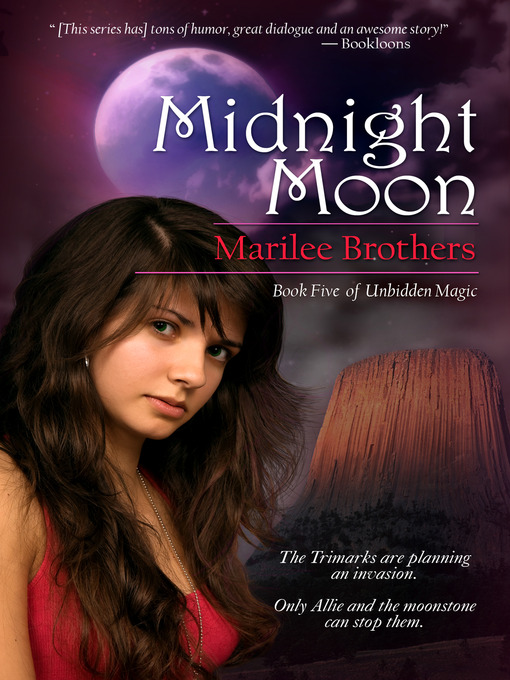 Cover image for Midnight Moon